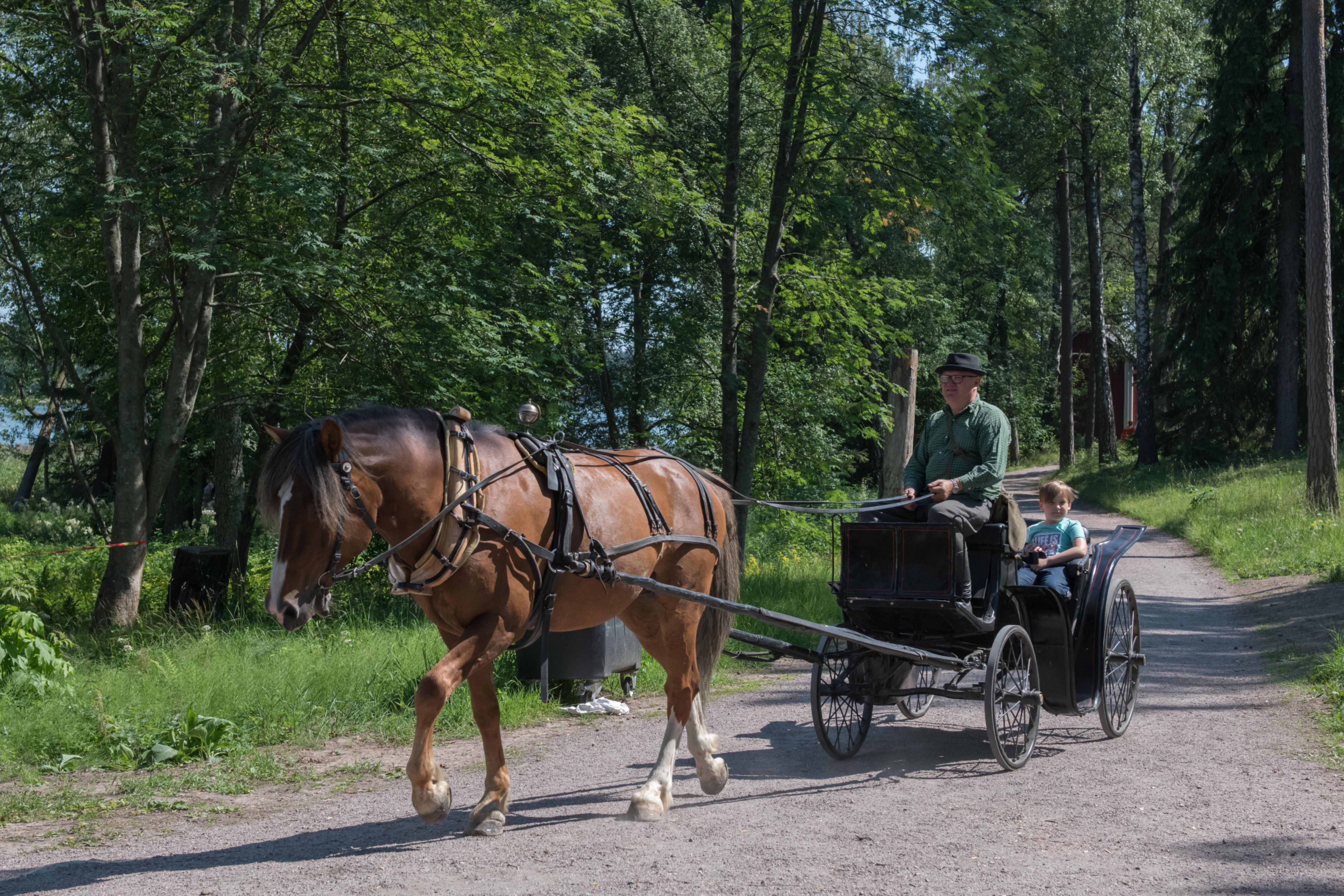 Hevosajelulla Seurasaaressa Hevosajelulla Seurasaaressa